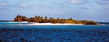 Nationalpark-Insel: Petit Tabac, Perle der Tobago Cays, ist strengstens geschützt.