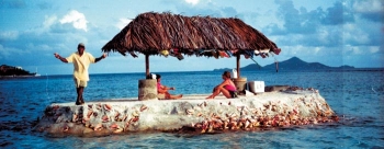 Do-it-yourself-Insel: Um 1500 Dollar baute Janti sich seine eigene Grenadinen-Insel.