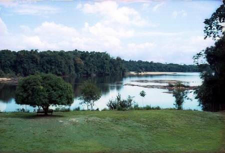 Iwokrama Lodge: Aussicht über den Fluss von der Lodge