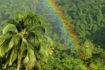 Regenbogen