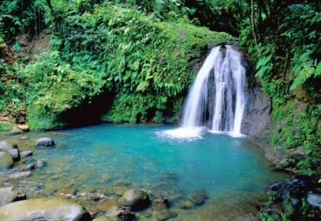 Basse Terre: Wasserfall